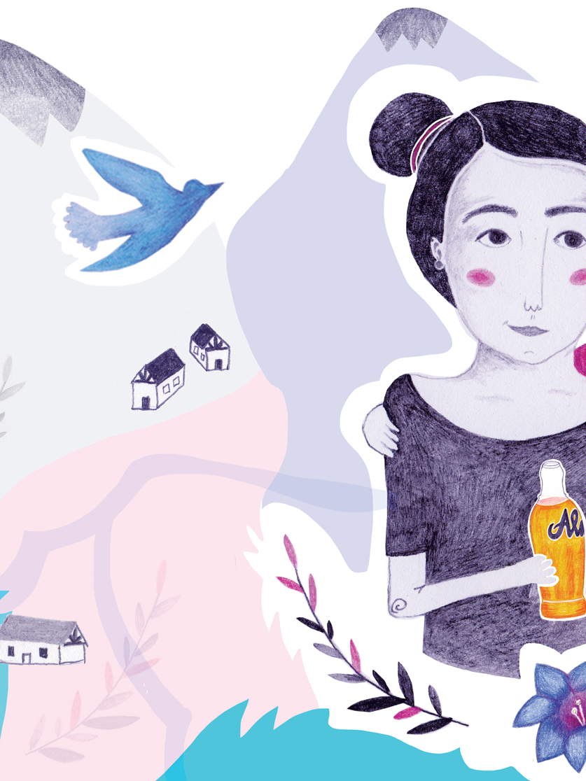 Facebook cover for Friends of Austria — PR illustration