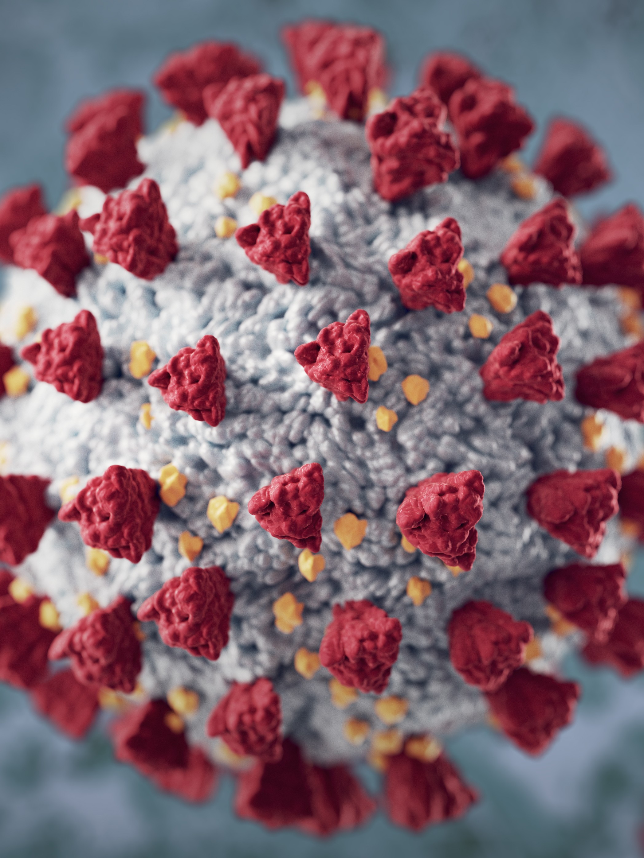 3D artwork of Corona virus — advertising illustration