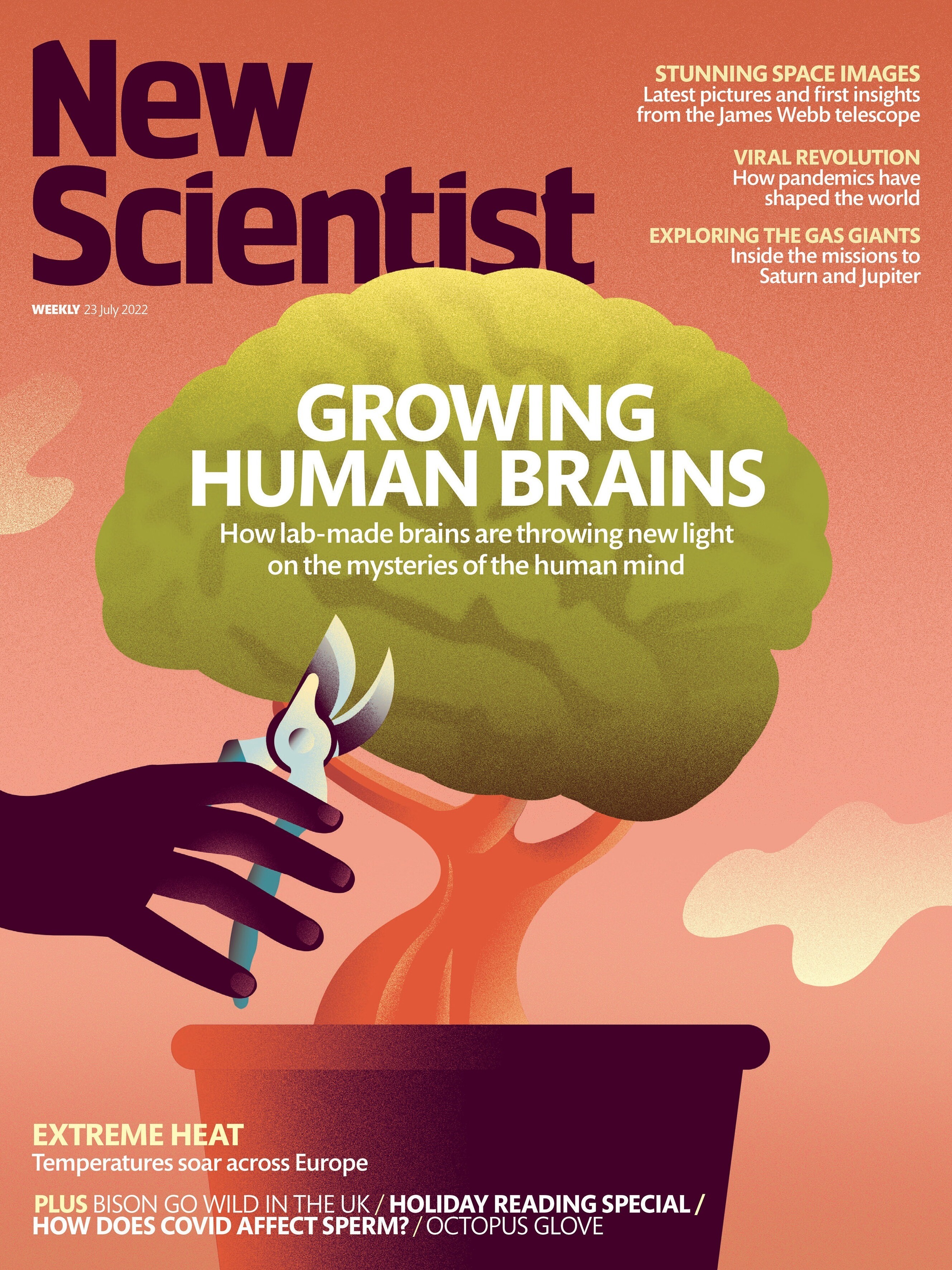 Neil for New Scientist — editorial illustration by Neil Webb